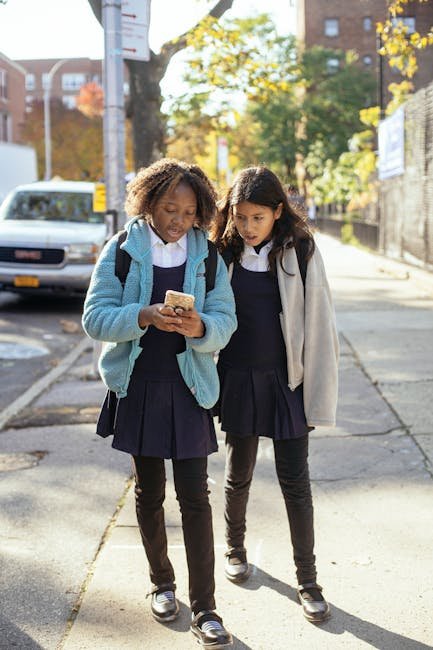 The Best 8 Free Online Courses to Elevate Your Skills in 2025