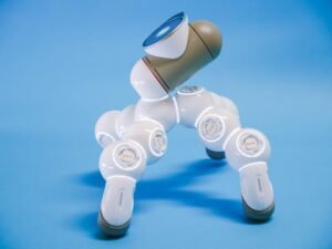 How to Leverage AI Tools for Creating Innovative Digital Products